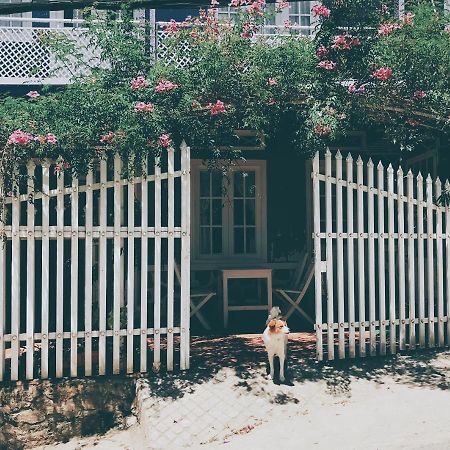 Nha Tim Homestay Dalat Dış mekan fotoğraf