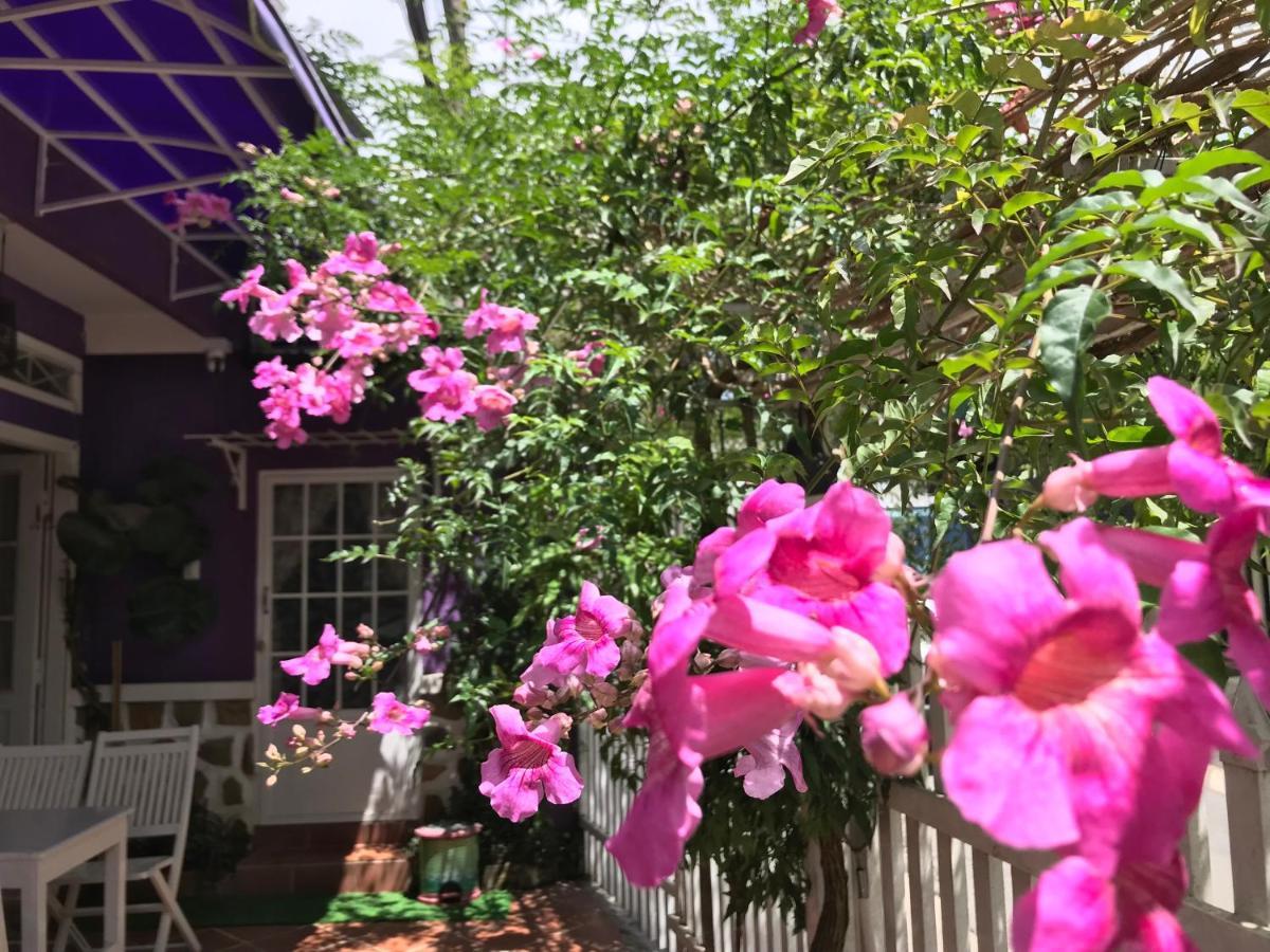 Nha Tim Homestay Dalat Dış mekan fotoğraf